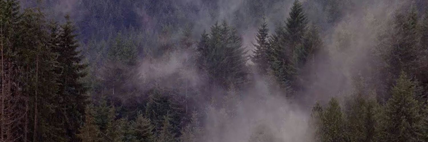 ldeezey's profile banner image