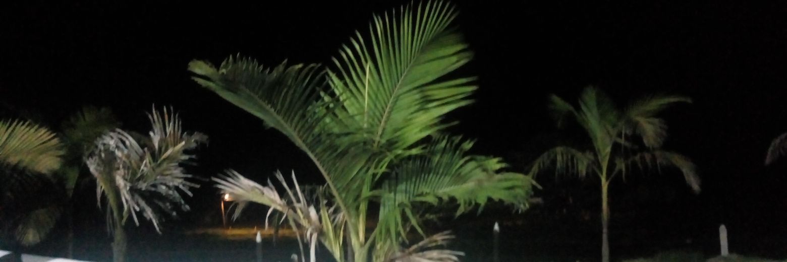 alejamat2's profile banner image