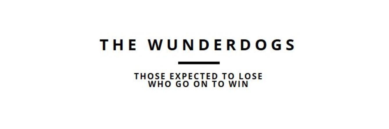 TheWunderdogs's profile banner image