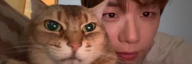 𝙞𝙣𝙚𝙫𝙖𝙣 ‹𝘴𝘵𝘢𝘺› banner