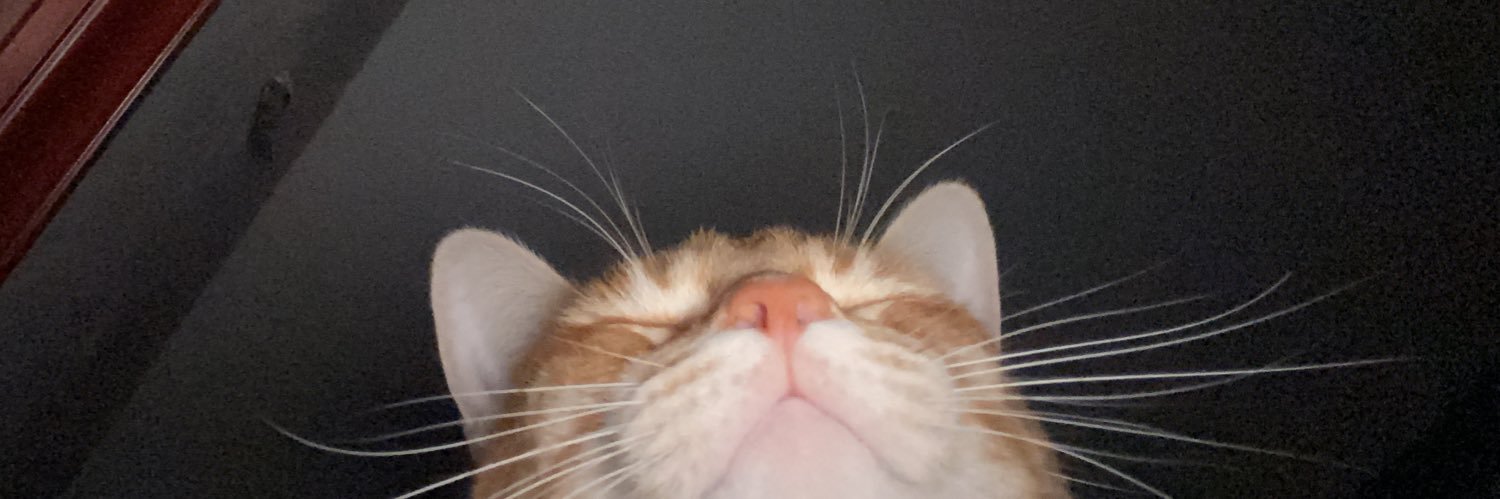 ceciliamp22_'s profile banner image