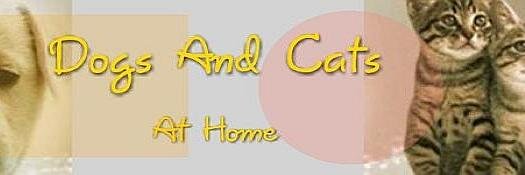 DAC_atHome's profile banner image