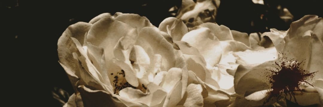 remi_677's profile banner image