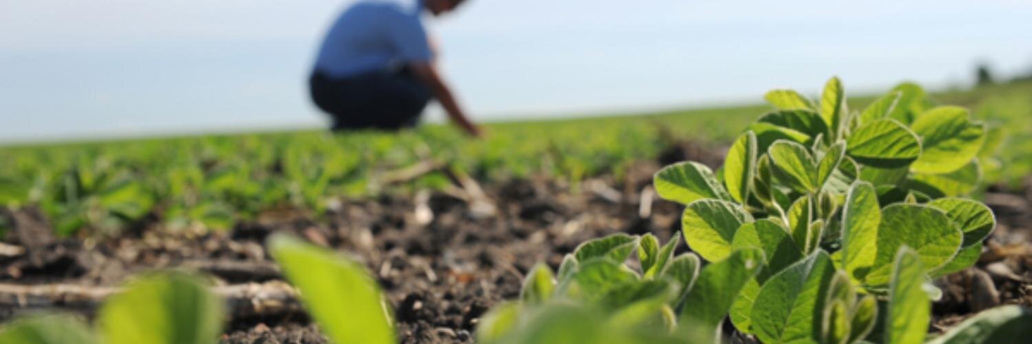Thompsons Agronomy banner