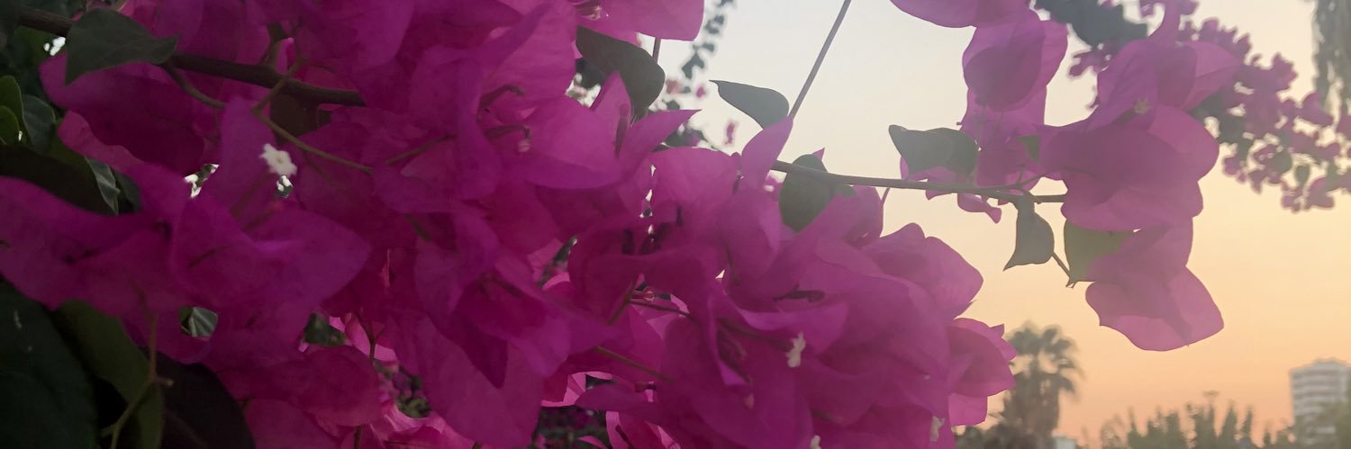 SolakRose's profile banner image