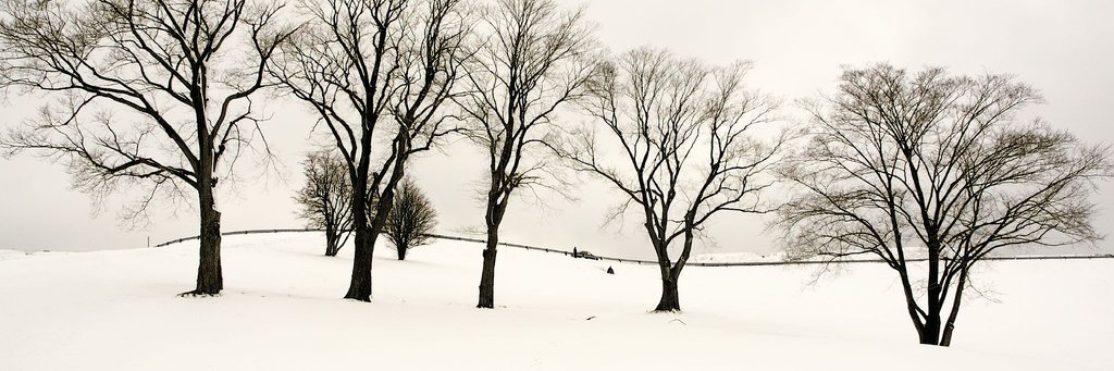 knmead's profile banner image