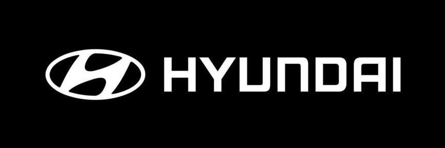 Wayne Hyundai banner