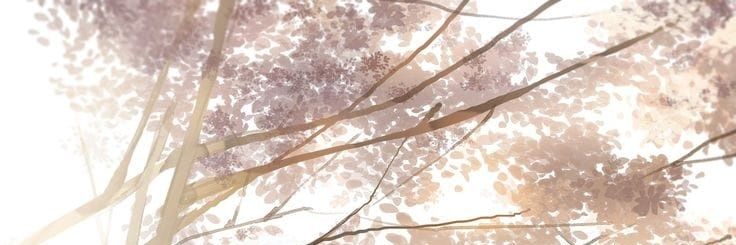 kittnlwt's profile banner image