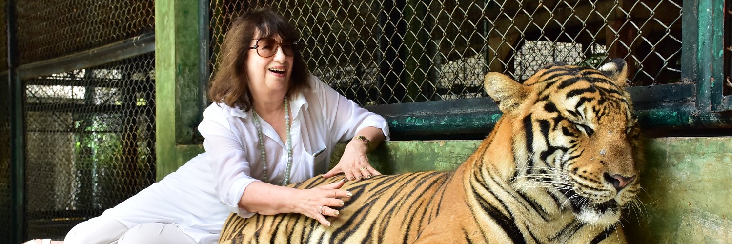 IngridJCollins's profile banner image