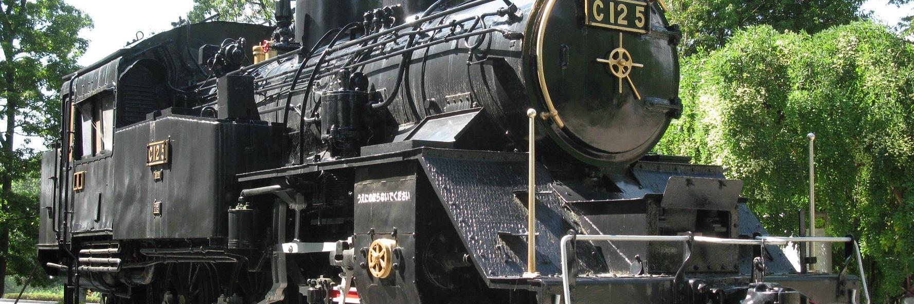 Albert Putnam banner