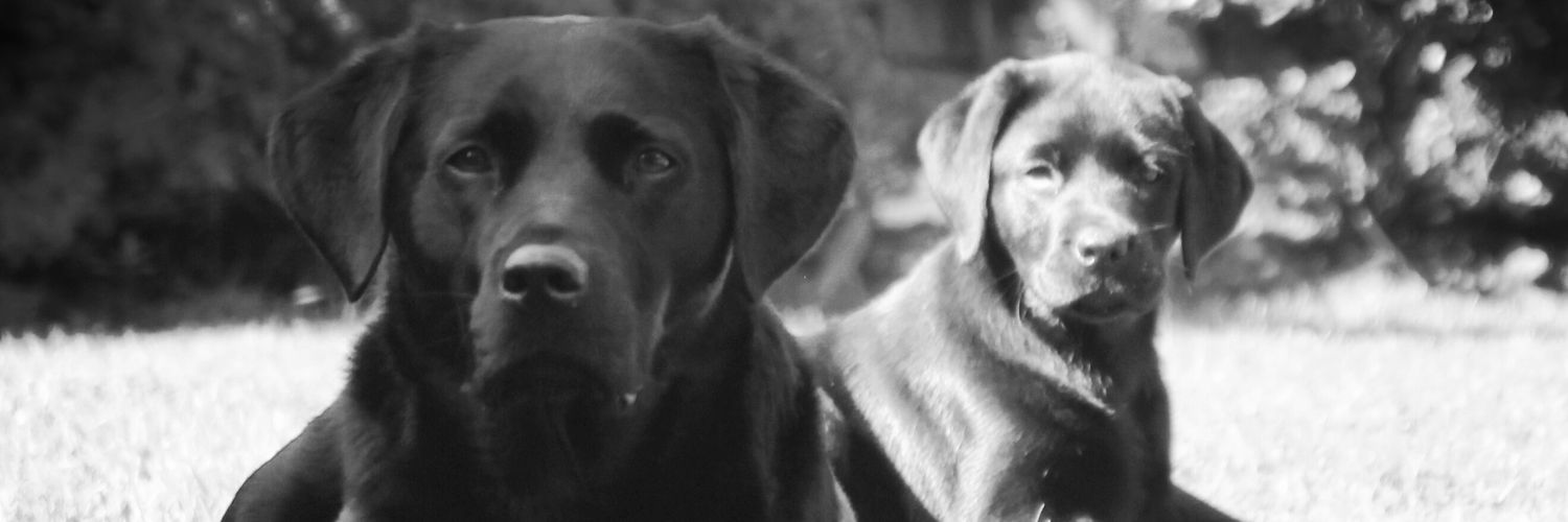 declan_hadley's profile banner image