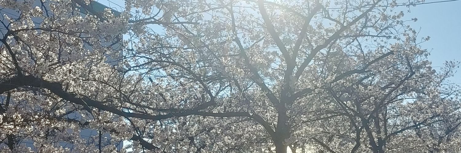 トリアエズナマ banner