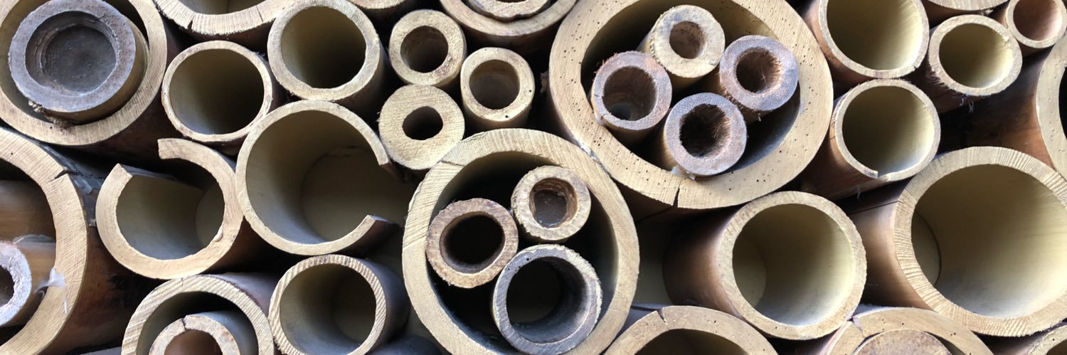 Kip Christopher banner