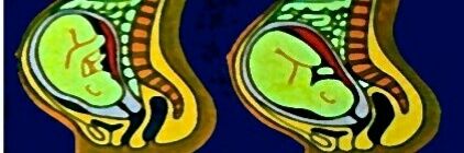 Lucybranco's profile banner image