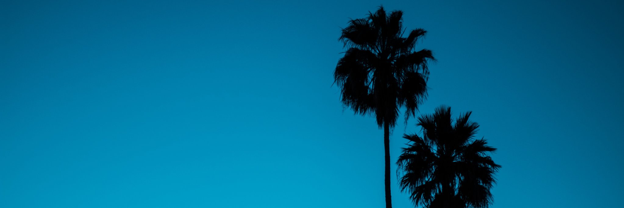 Carlos_E_Solis's profile banner image