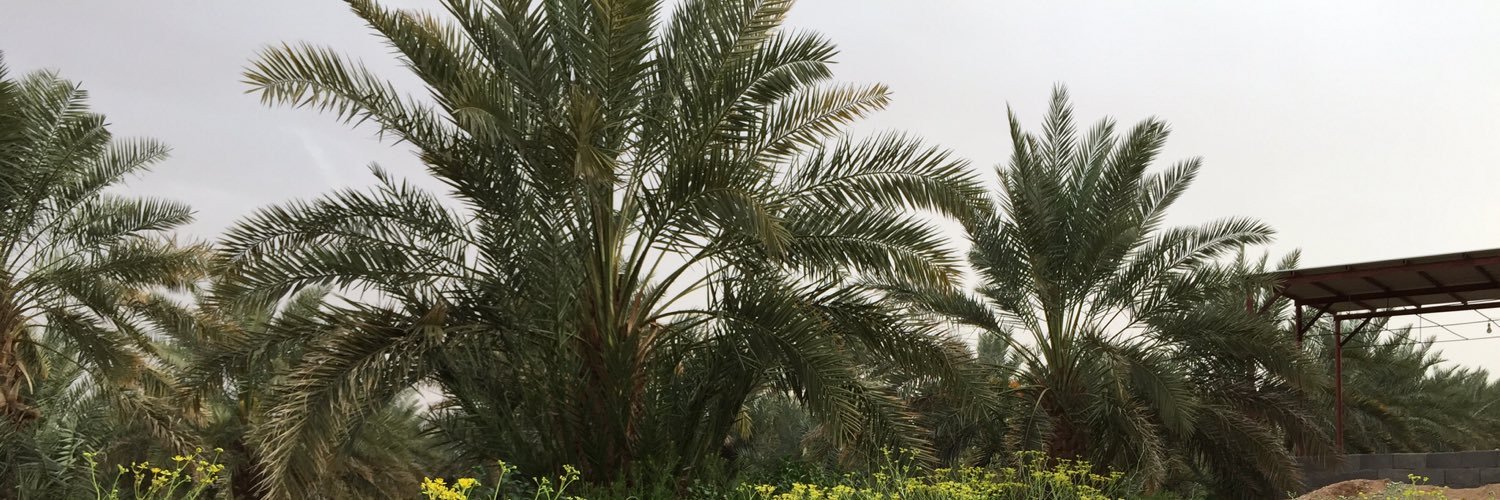 islamadel888's profile banner image
