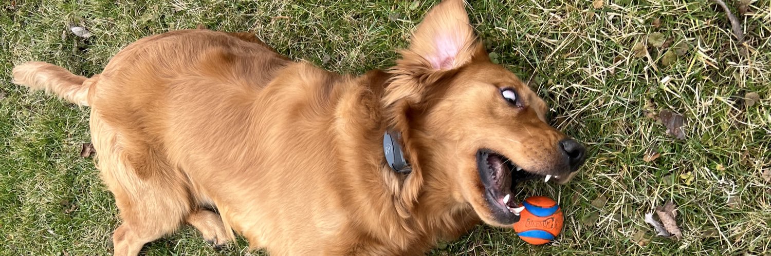 HaleySummer21's profile banner image