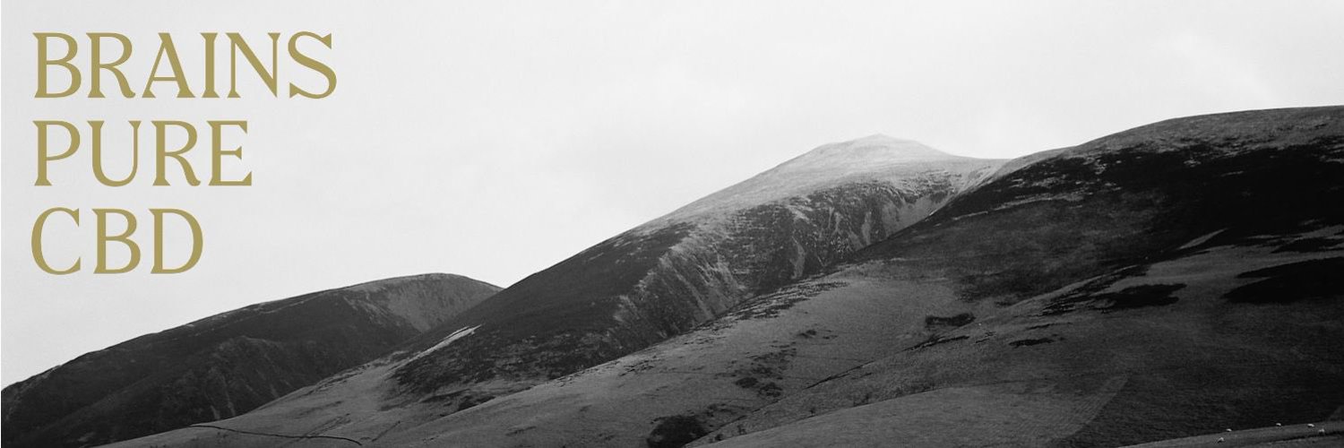 RickyB banner
