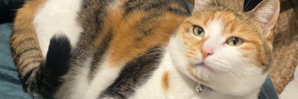 fafastbnz's profile banner image