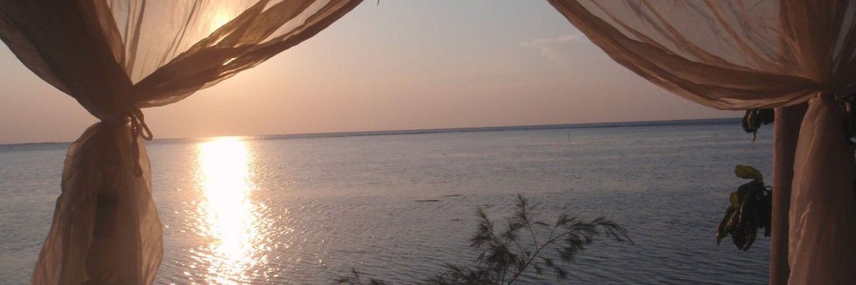 Poupee's profile banner image
