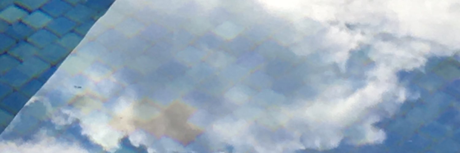 RozennHamel's profile banner image