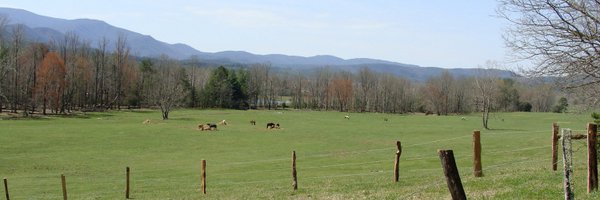 bsware Profile Banner