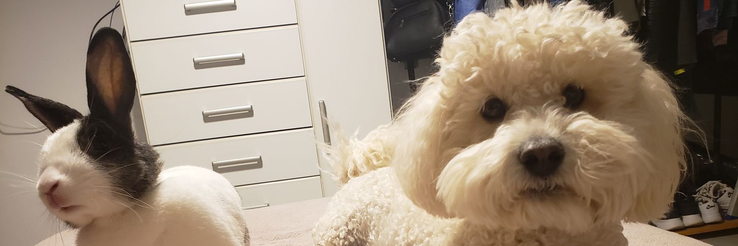 Cami_Legui96's profile banner image