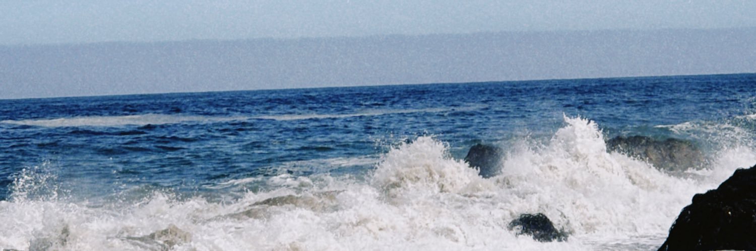 jazminolmi2's profile banner image
