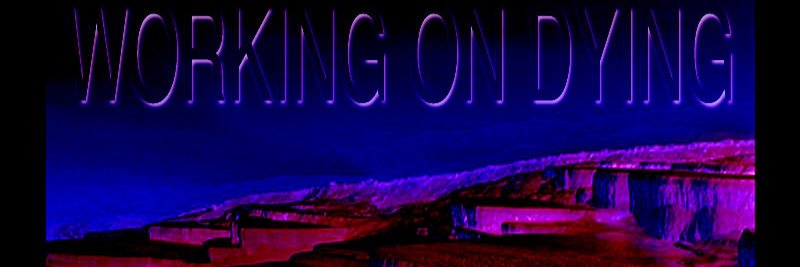 _LilTrip's profile banner image