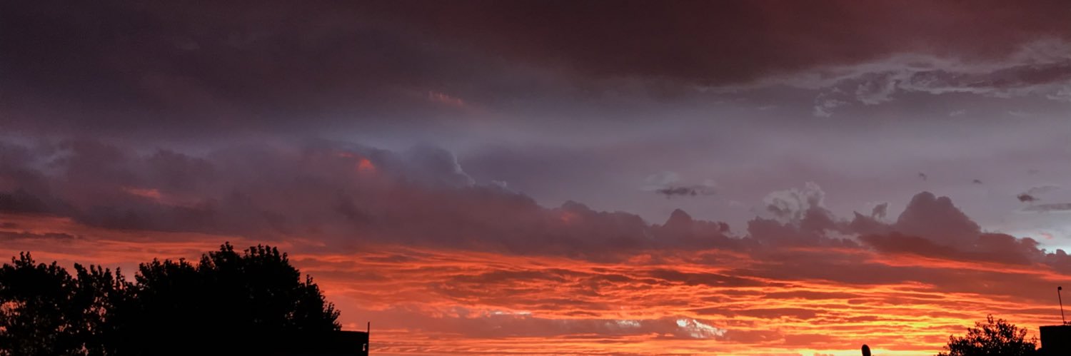 DenRozas's profile banner image