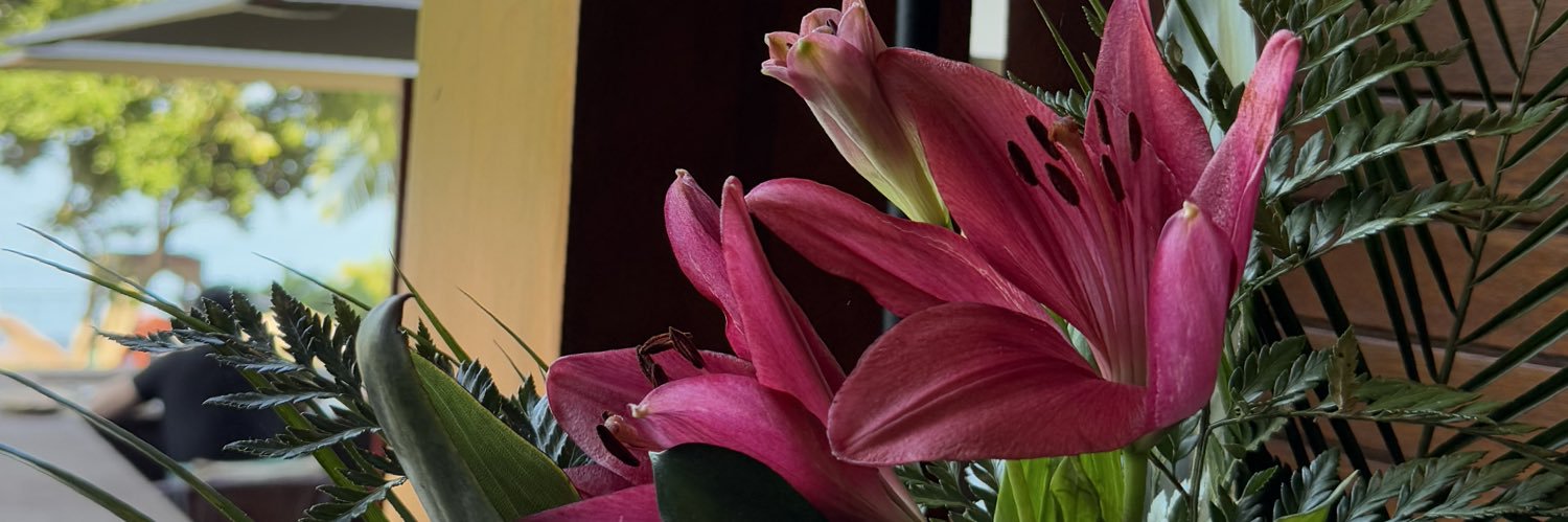 _r_kb's profile banner image