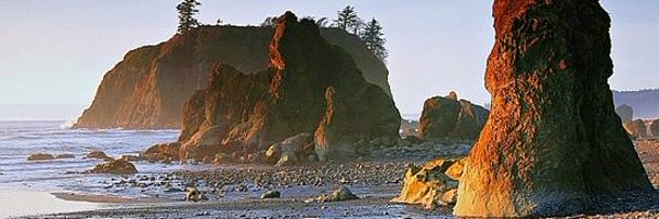 SlyCat_ Profile Banner