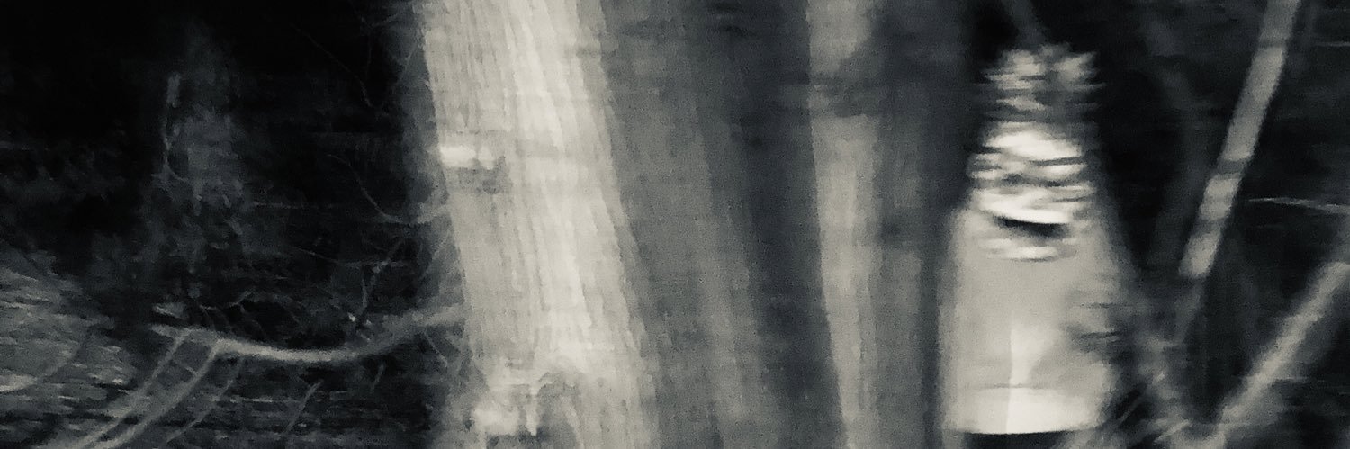 neilgrayston's profile banner image
