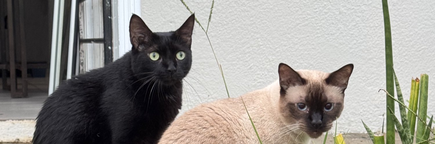 dianita🧟‍♀️ banner