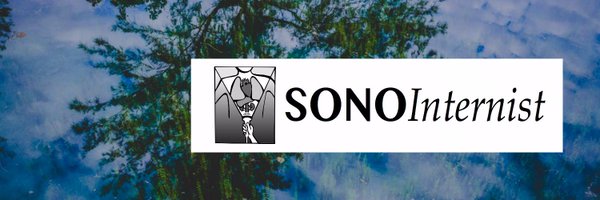SonoInternist Profile Banner