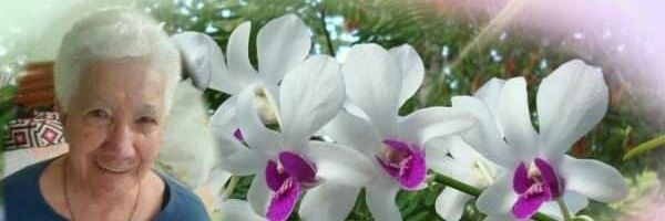 Alearizaariza's profile banner image