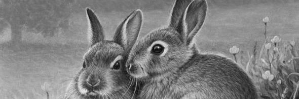 OriginalTWhite's profile banner image
