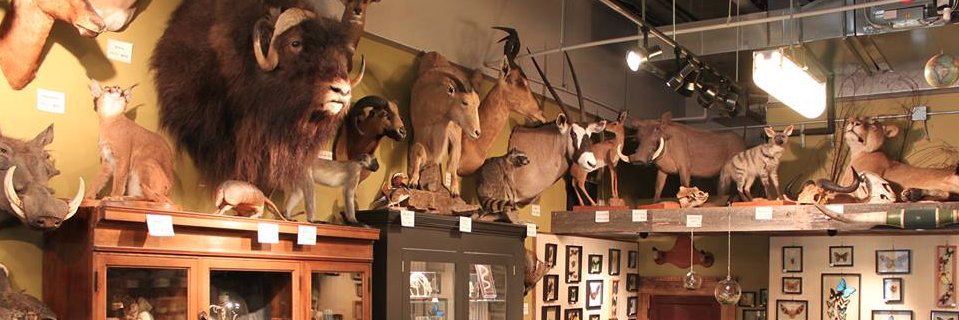 PaxtonGatePDX's profile banner image