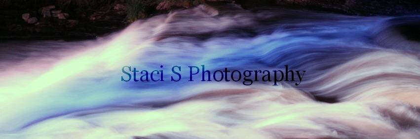 StaciiAlexandra's profile banner image