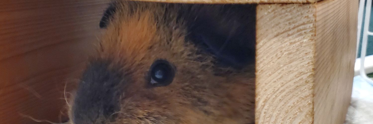toomuchyoung's profile banner image