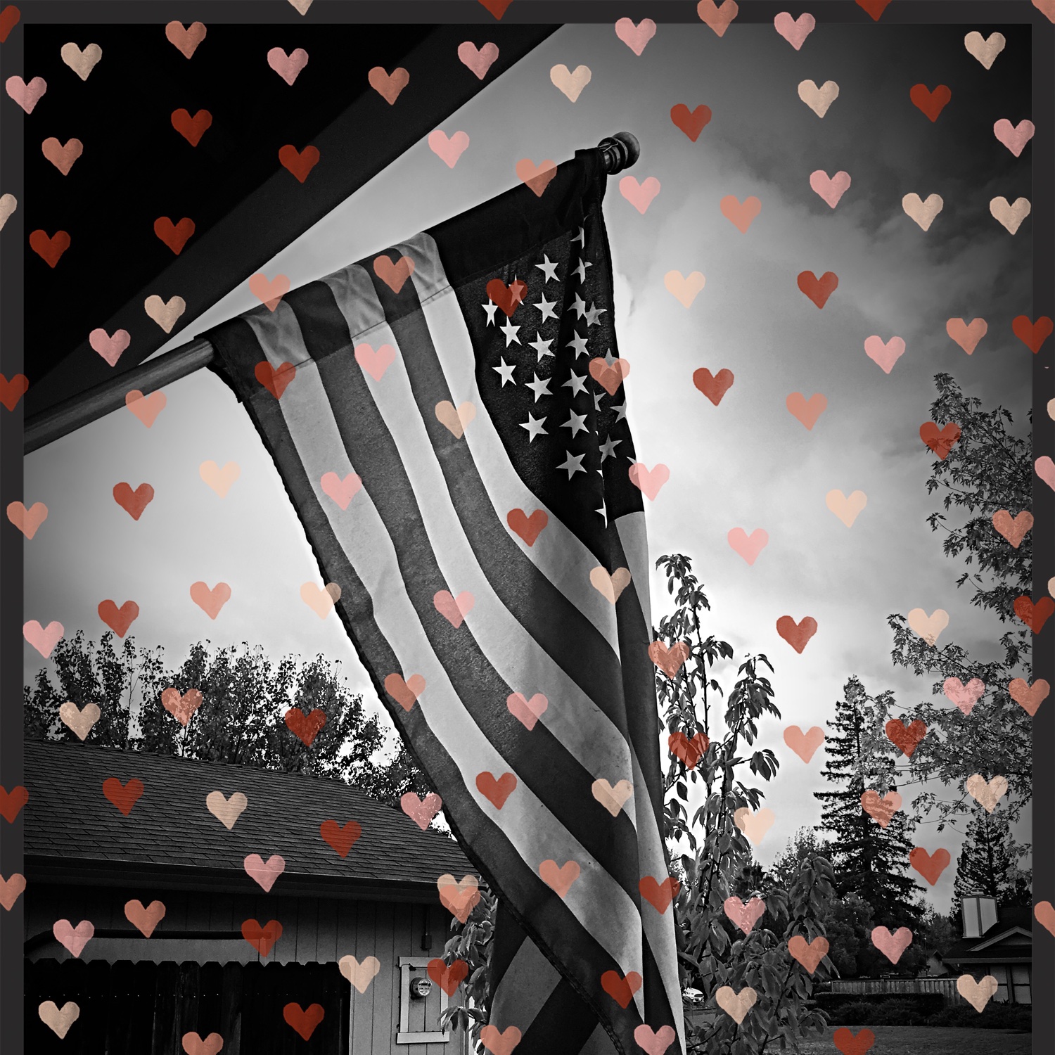 Lexi Wilson banner