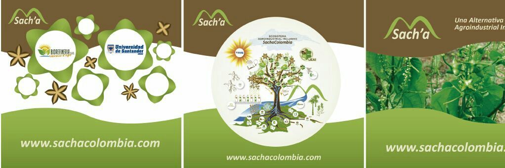 BioRefineria S.A.S banner