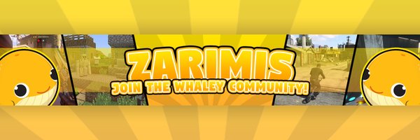 zarimis Profile Banner