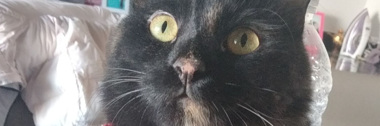 PaulaPeire's profile banner image