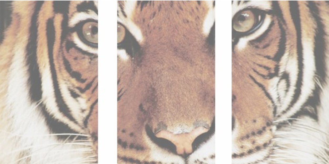 milsmbkgdr's profile banner image