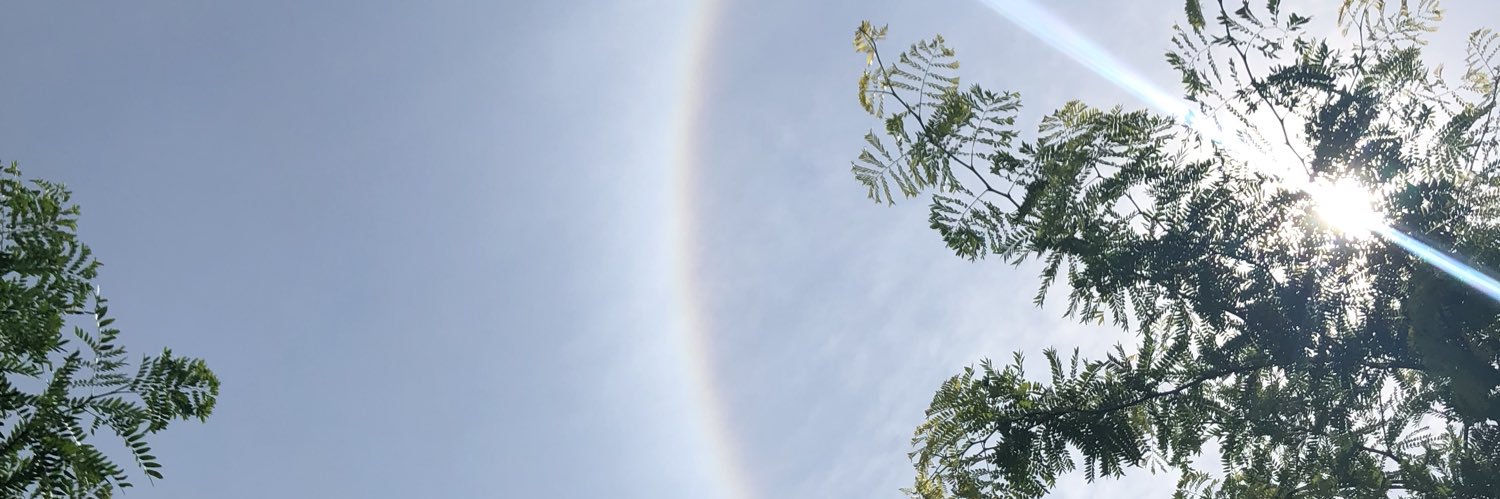 MorganSvobodny's profile banner image