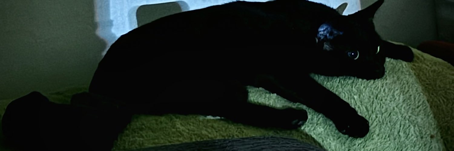 Quent_Olive's profile banner image