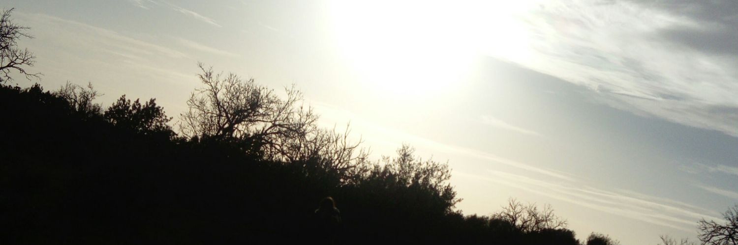 raquelffffff's profile banner image