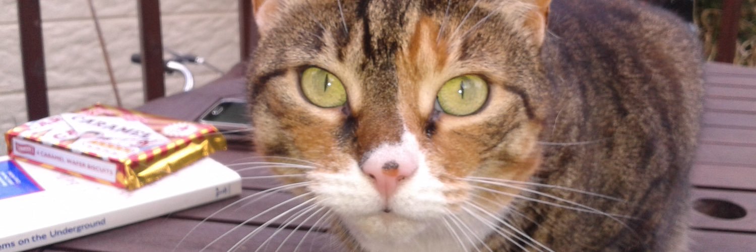 Molly luffs all my pals ORB🌈 banner