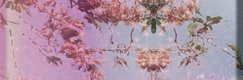 LADYJONELLE's profile banner image
